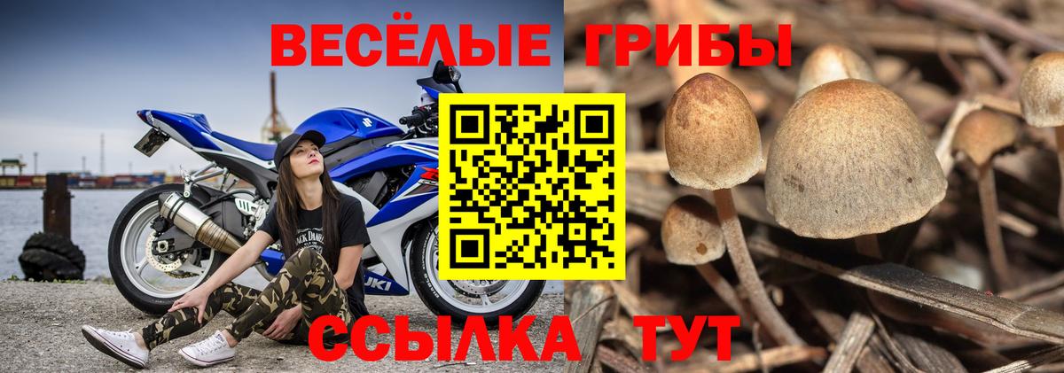 Галлюциногенные грибы GOLDEN TEACHER  Вход с VPN  Рязань 